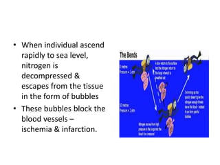 • When individual ascend
rapidly to sea level,
nitrogen is
decompressed &
escapes from the tissue
in the form of bubbles
• These bubbles block the
blood vessels –
ischemia & infarction.
 