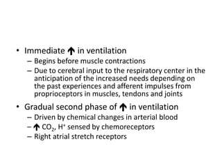 • Immediate  in ventilation
– Begins before muscle contractions
– Due to cerebral input to the respiratory center in the
anticipation of the increased needs depending on
the past experiences and afferent impulses from
proprioceptors in muscles, tendons and joints
• Gradual second phase of  in ventilation
– Driven by chemical changes in arterial blood
–  CO2, H+ sensed by chemoreceptors
– Right atrial stretch receptors
 