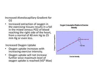 Increased Alveolocapillary Gradient for
O2
• Increased extraction of oxygen in
the exercising tissues results in a fall
in the mixed venous PO2 of blood
reaching the right side of the heart,
from a normal of 40 mm Hg to 25
mm Hg or even less.
Increased Oxygen Uptake
• Oxygen uptake increases with
increasing exercise intensity.
• Oxygen uptake will not increase
further once maximum level of
oxygen uptake is reached (VO² Max)
 