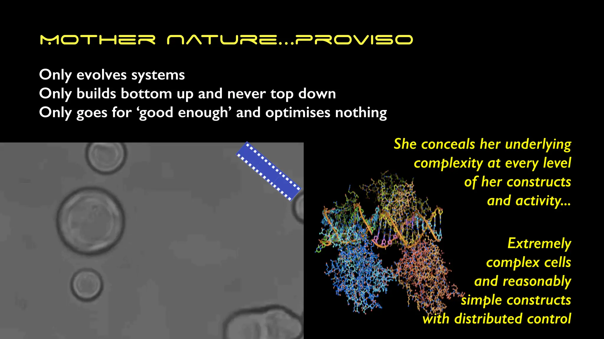 Mother Nature…proviso
Only evolves systems
Only builds bottom up and never top down
Only goes for ‘good enough’ and optimises nothing
Extremely
complex cells
and reasonably
simple constructs
with distributed control
She conceals her underlying
complexity at every level
of her constructs
and activity...
 