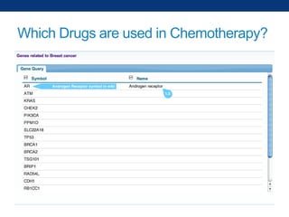 Which Drugs are used in Chemotherapy?

 