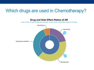 Which drugs are used in Chemotherapy?
Drug and Side Effect Ratios of AR
Inner Circle: Drugs by Affected Species, Outer Circle: Side Effect Ratios of Drugs

 