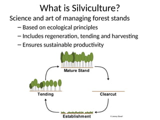 Silviculture Rotation Introduction to Silviculture and Applied Silviculture | PPTX