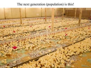 The next generation (population) is this!
 