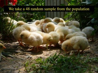 We take a 48 random sample from the population
 
