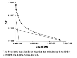 The Scatchard equation is an equation for calculating the affinity
constant of a ligand with a protein.
 