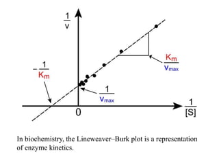In biochemistry, the Lineweaver–Burk plot is a representation
of enzyme kinetics.
 