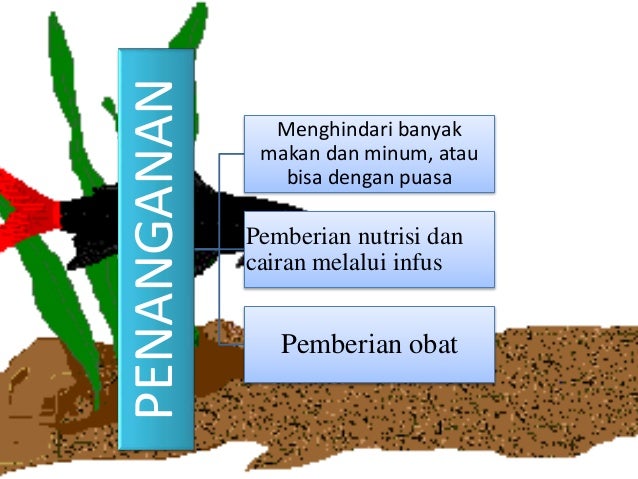 Applikasi enzim pada keperawatan