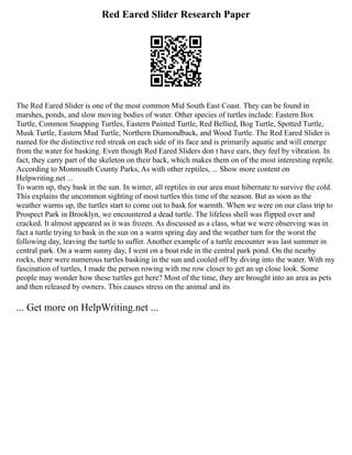 Red Eared Slider Research Paper
The Red Eared Slider is one of the most common Mid South East Coast. They can be found in
marshes, ponds, and slow moving bodies of water. Other species of turtles include: Eastern Box
Turtle, Common Snapping Turtles, Eastern Painted Turtle, Red Bellied, Bog Turtle, Spotted Turtle,
Musk Turtle, Eastern Mud Turtle, Northern Diamondback, and Wood Turtle. The Red Eared Slider is
named for the distinctive red streak on each side of its face and is primarily aquatic and will emerge
from the water for basking. Even though Red Eared Sliders don t have ears, they feel by vibration. In
fact, they carry part of the skeleton on their back, which makes them on of the most interesting reptile.
According to Monmouth County Parks, As with other reptiles, ... Show more content on
Helpwriting.net ...
To warm up, they bask in the sun. In winter, all reptiles in our area must hibernate to survive the cold.
This explains the uncommon sighting of most turtles this time of the season. But as soon as the
weather warms up, the turtles start to come out to bask for warmth. When we were on our class trip to
Prospect Park in Brooklyn, we encountered a dead turtle. The lifeless shell was flipped over and
cracked. It almost appeared as it was frozen. As discussed as a class, what we were observing was in
fact a turtle trying to bask in the sun on a warm spring day and the weather turn for the worst the
following day, leaving the turtle to suffer. Another example of a turtle encounter was last summer in
central park. On a warm sunny day, I went on a boat ride in the central park pond. On the nearby
rocks, there were numerous turtles basking in the sun and cooled off by diving into the water. With my
fascination of turtles, I made the person rowing with me row closer to get an up close look. Some
people may wonder how these turtles get here? Most of the time, they are brought into an area as pets
and then released by owners. This causes stress on the animal and its
... Get more on HelpWriting.net ...
 