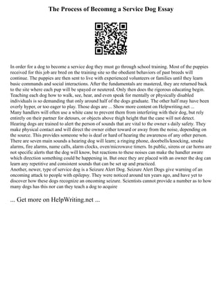 The Process of Becomng a Service Dog Essay
In order for a dog to become a service dog they must go through school training. Most of the puppies
received for this job are bred on the training site so the obedient behaviors of past breeds will
continue. The puppies are then sent to live with experienced volunteers or families until they learn
basic commands and social interactions. After the fundamentals are mastered, they are returned back
to the site where each pup will be spayed or neutered. Only then does the rigorous educating begin.
Teaching each dog how to walk, see, hear, and even speak for mentally or physically disabled
individuals is so demanding that only around half of the dogs graduate. The other half may have been
overly hyper, or too eager to play. Those dogs are ... Show more content on Helpwriting.net ...
Many handlers will often use a white cane to prevent them from interfering with their dog, but rely
entirely on their partner for detours, or objects above thigh height that the cane will not detect.
Hearing dogs are trained to alert the person of sounds that are vital to the owner s daily safety. They
make physical contact and will direct the owner either toward or away from the noise, depending on
the source. This provides someone who is deaf or hard of hearing the awareness of any other person.
There are seven main sounds a hearing dog will learn; a ringing phone, doorbells/knocking, smoke
alarms, fire alarms, name calls, alarm clocks, oven/microwave timers. In public, sirens or car horns are
not specific alerts that the dog will know, but reactions to these noises can make the handler aware
which direction something could be happening in. But once they are placed with an owner the dog can
learn any repetitive and consistent sounds that can be set up and practiced.
Another, newer, type of service dog is a Seizure Alert Dog. Seizure Alert Dogs give warning of an
oncoming attack to people with epilepsy. They were noticed around ten years ago, and have yet to
discover how these dogs recognize an oncoming seizure. Scientists cannot provide a number as to how
many dogs has this nor can they teach a dog to acquire
... Get more on HelpWriting.net ...
 