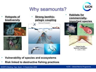 IUCN – Global Marine ProgrammeSIODFA Meeting, Vigo, Spain, 14 September 2009
Why seamounts?
• Hotspots of
biodiversity
• S...