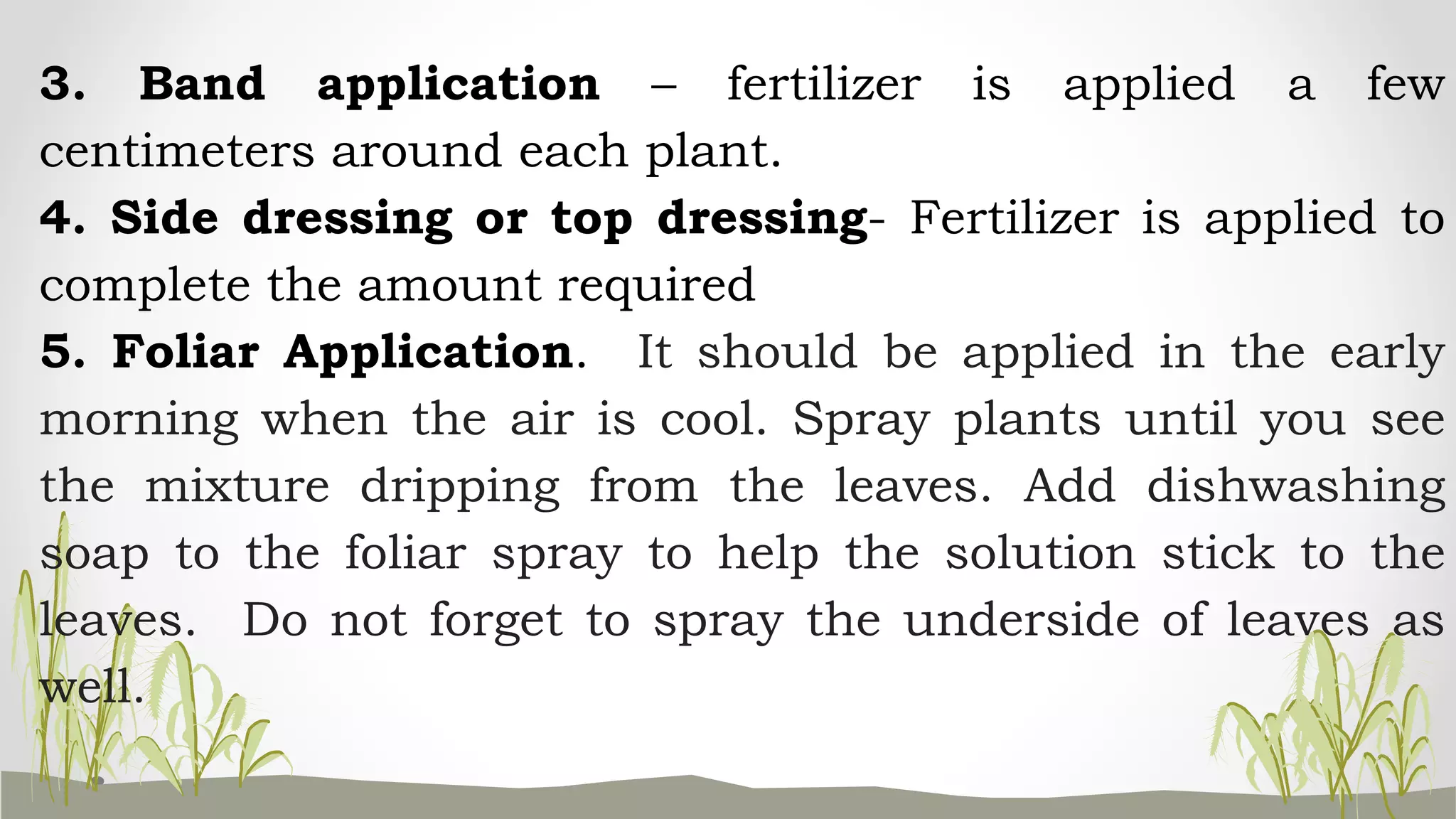 3. Band application – fertilizer is applied a few
centimeters around each plant.
4. Side dressing or top dressing- Fertilizer is applied to
complete the amount required
5. Foliar Application. It should be applied in the early
morning when the air is cool. Spray plants until you see
the mixture dripping from the leaves. Add dishwashing
soap to the foliar spray to help the solution stick to the
leaves. Do not forget to spray the underside of leaves as
well.
 