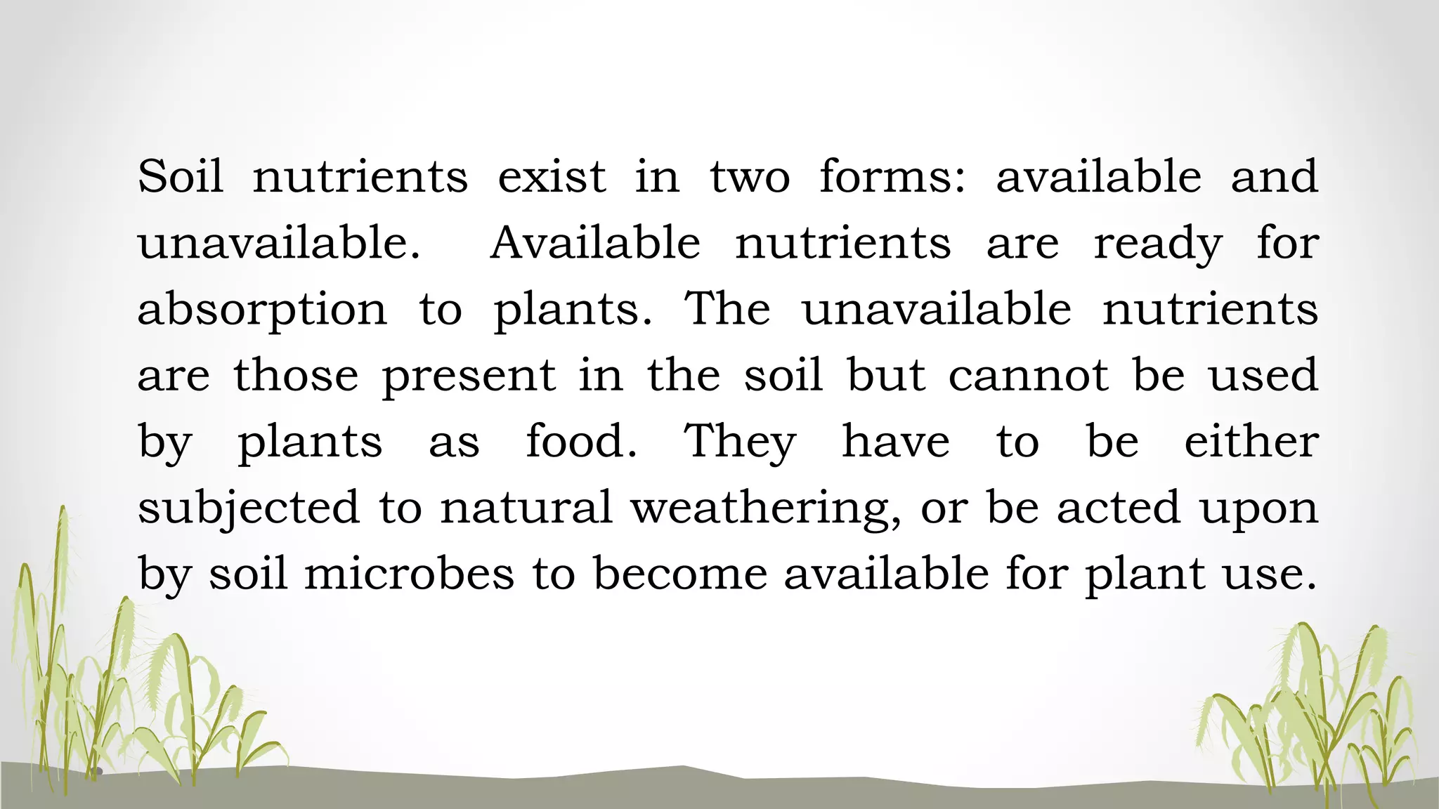 Soil nutrients exist in two forms: available and
unavailable. Available nutrients are ready for
absorption to plants. The unavailable nutrients
are those present in the soil but cannot be used
by plants as food. They have to be either
subjected to natural weathering, or be acted upon
by soil microbes to become available for plant use.
 