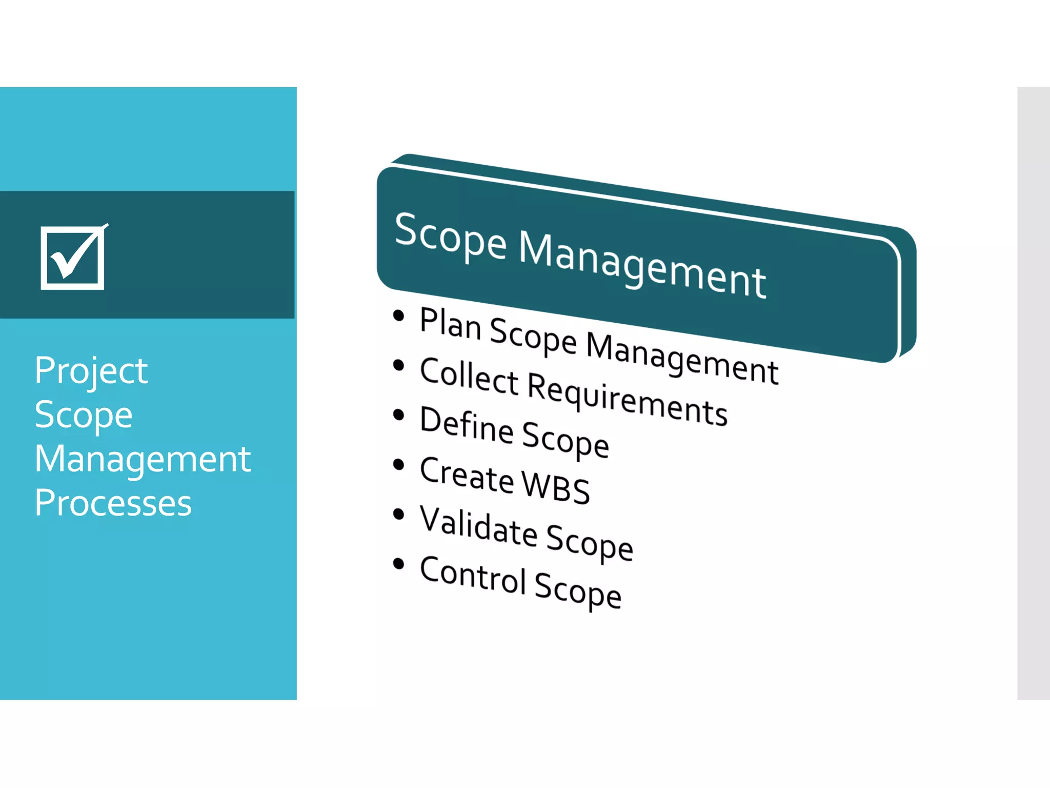 Project
Scope
Management
Processes

 
