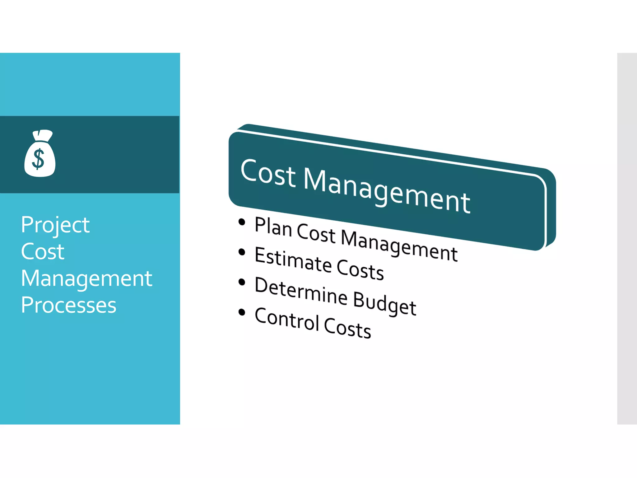Project
Cost
Management
Processes

 