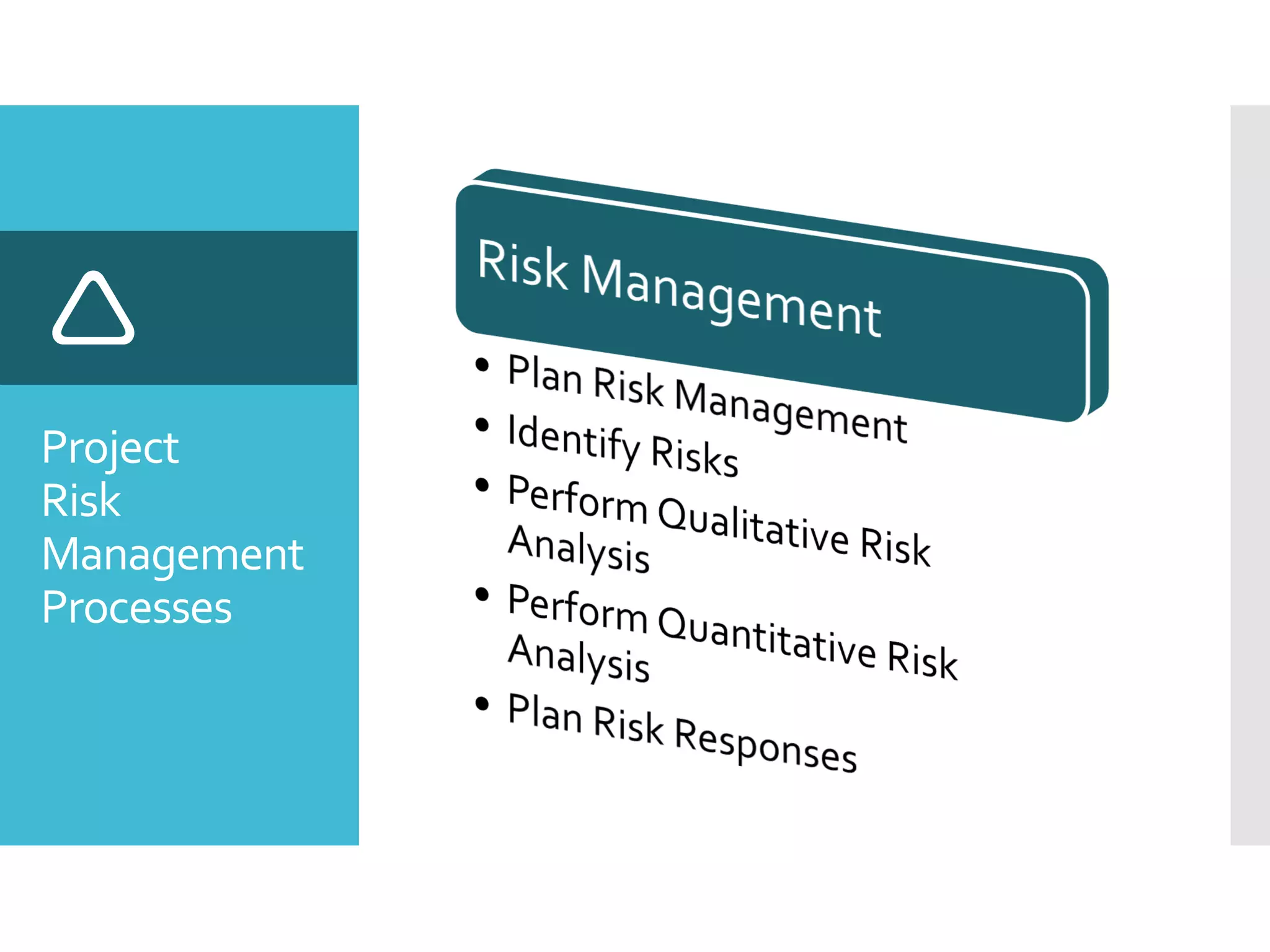 Project
Risk
Management
Processes

 