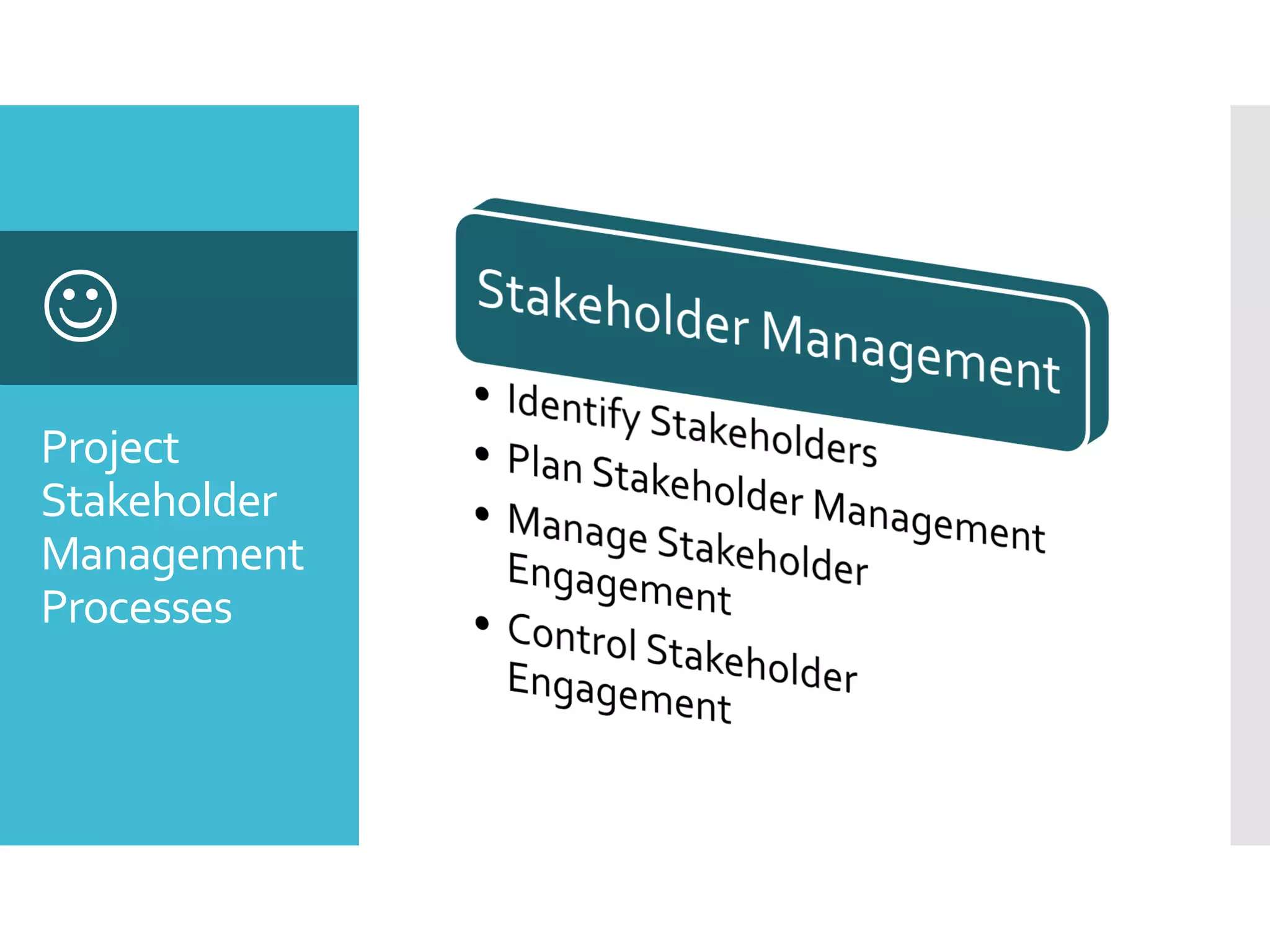Project
Stakeholder
Management
Processes

 