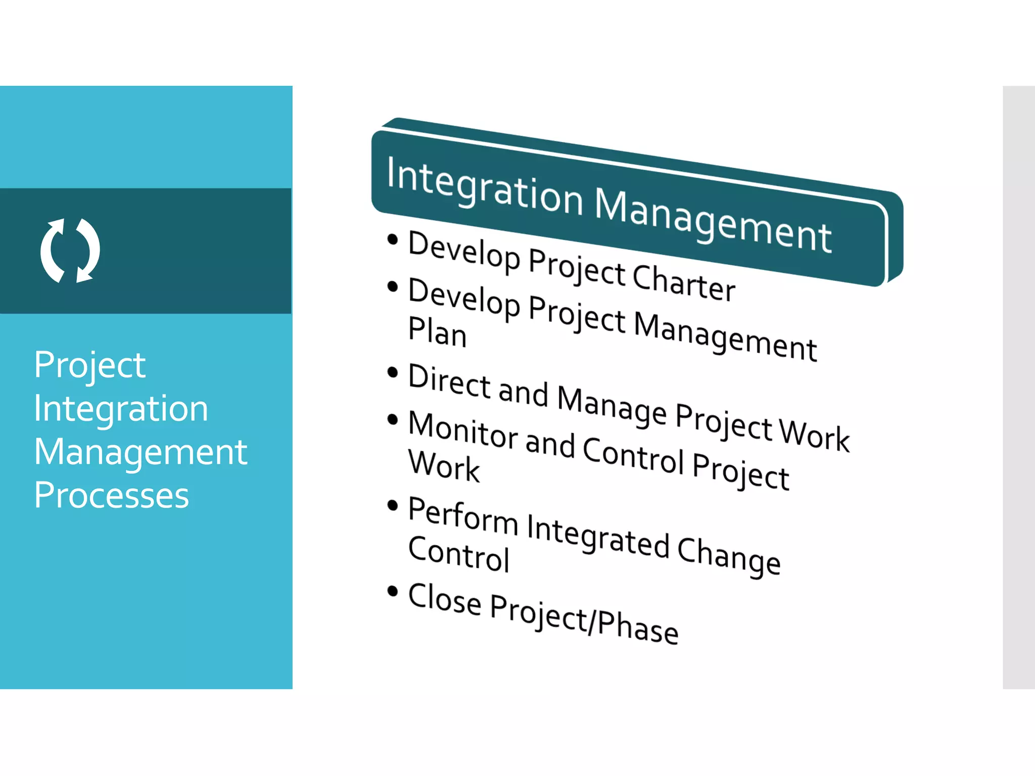 Project
Integration
Management
Processes

 