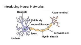 Introducing Neural Networks
 