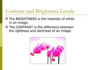 Contrast and Brightness Levels
   The BRIGHTNESS is the intensity of white
    in an image.
   The CONTRAST is the difference between
    the lightness and darkness of an image.
 