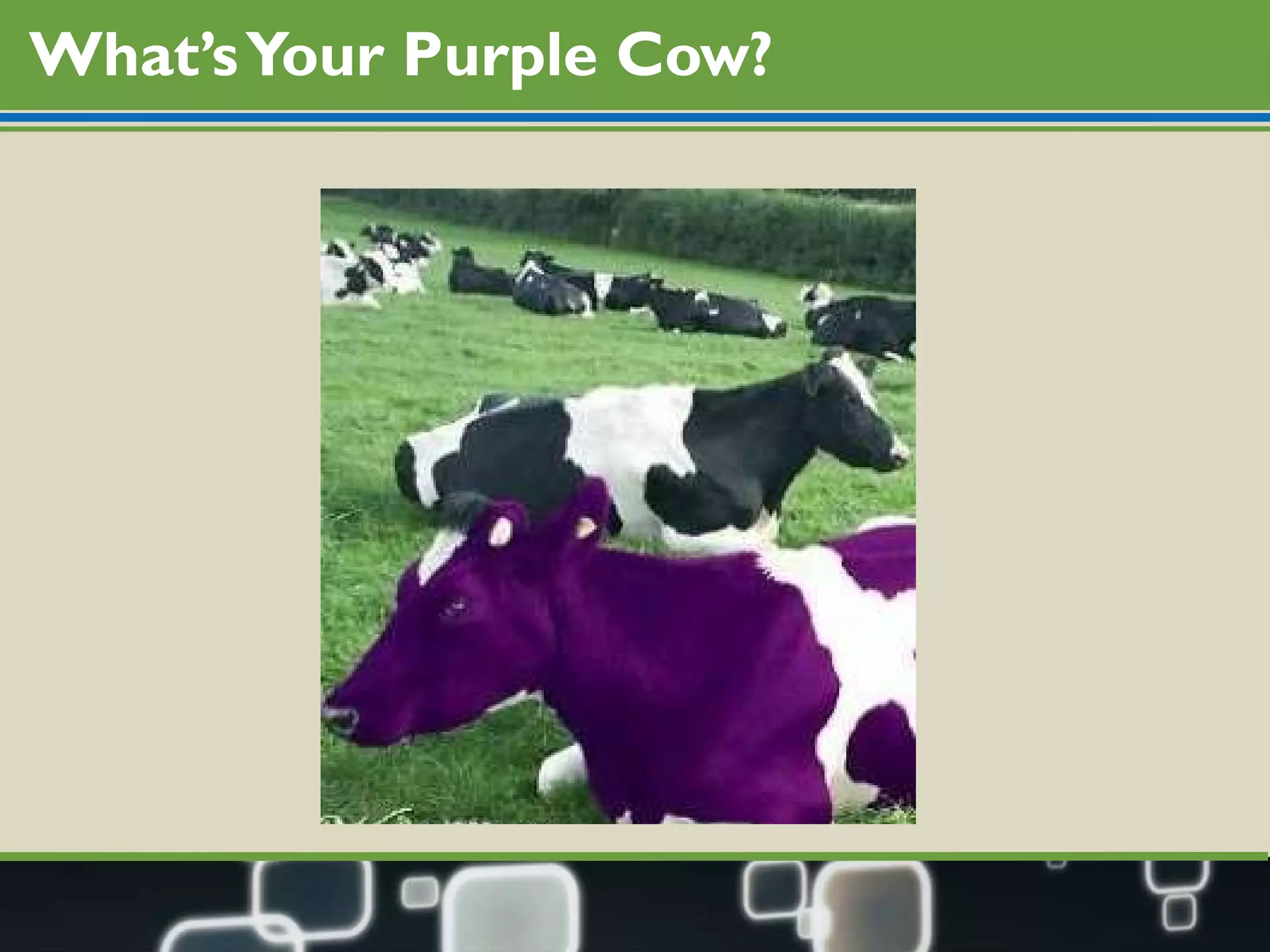 What’s Your Purple Cow? 