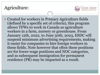 Agriculture:
 Created for workers in Primary Agriculture fields
(defined by a specific set of criteria), this program
allows TFWs to work in Canada as agriculture
workers in a farm, nursery or greenhouse. From
January 12th, 2022, to June 30th, 2023, ESDC will
suspend minimum advertising requirements, making
it easier for companies to hire foreign workers in
these fields. Note however that often these positions
are for lower-wage positions and NOC categories,
and so subsequent immigration for permanent
residence (PR) may be impacted as a result.
 