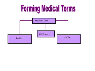 Forming Medical Terms
         Medical Term




            Word root
Prefix                  Suffix




                                 1
 