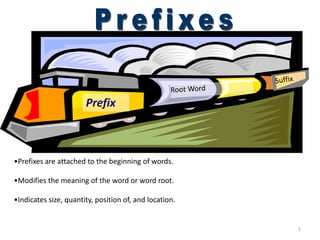 Prefixes
Prefix
•Prefixes are attached to the beginning of words.
•Modifies the meaning of the word or word root.
•Indicates size, quantity, position of, and location.
1