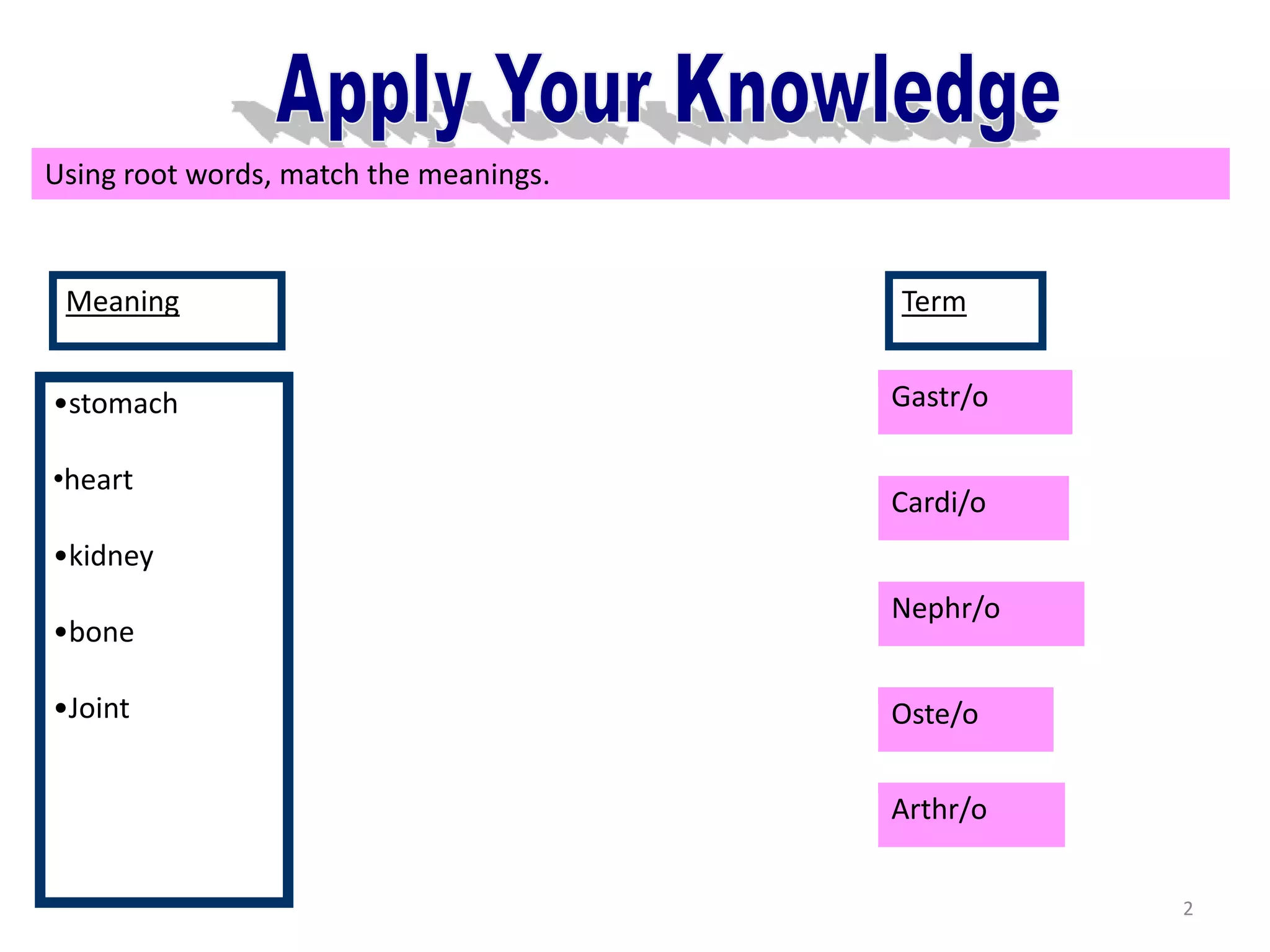 KNOWLEDGE ROOT WORD visual data 6