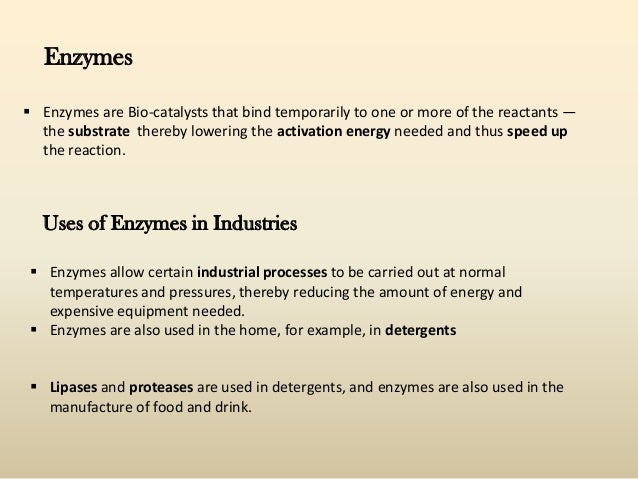enzymes in the dairy industry Godfrey, t, & reichelt, j industrial enzymology: the application of enzymes in industryunited states. enzymes in the dairy industry Godfrey, t, & reichelt, j industrial enzymology: the application of enzymes in industryunited states.