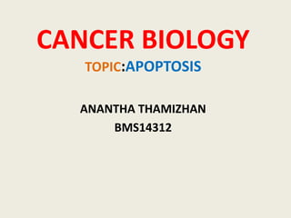 CANCER BIOLOGY
TOPIC:APOPTOSIS
ANANTHA THAMIZHAN
BMS14312
 