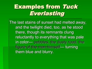 Reluctantly Example Mastering Appositives and Appositive Phrases in Writing | PPT