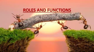 ROLES AND FUNCTIONS
 