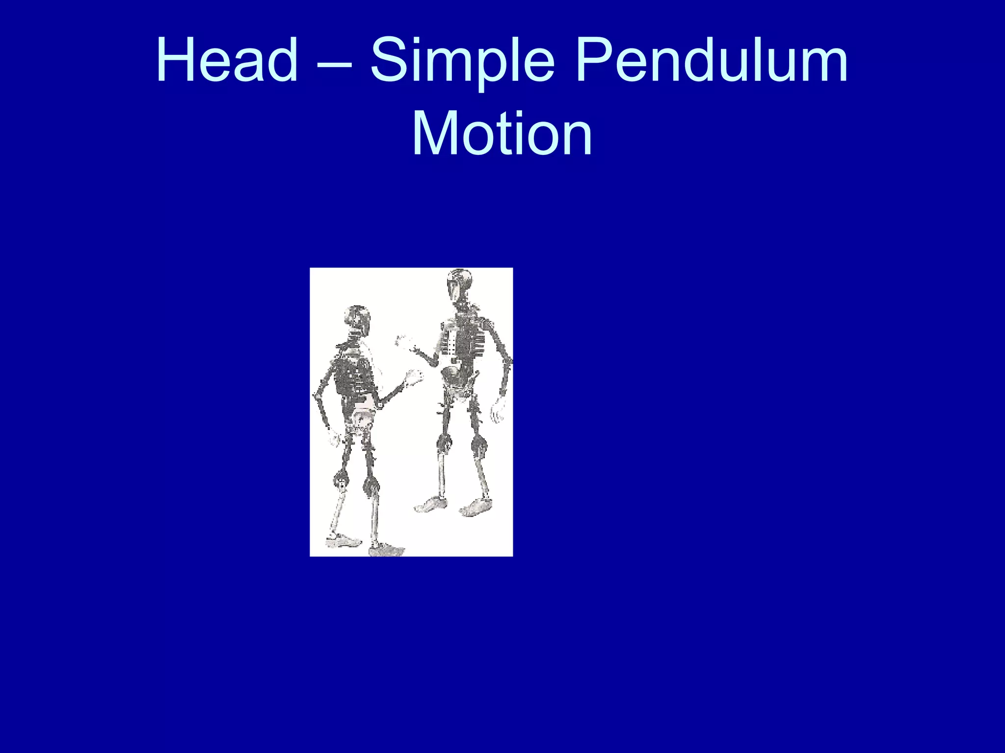 Head – Simple Pendulum 
Motion 
 