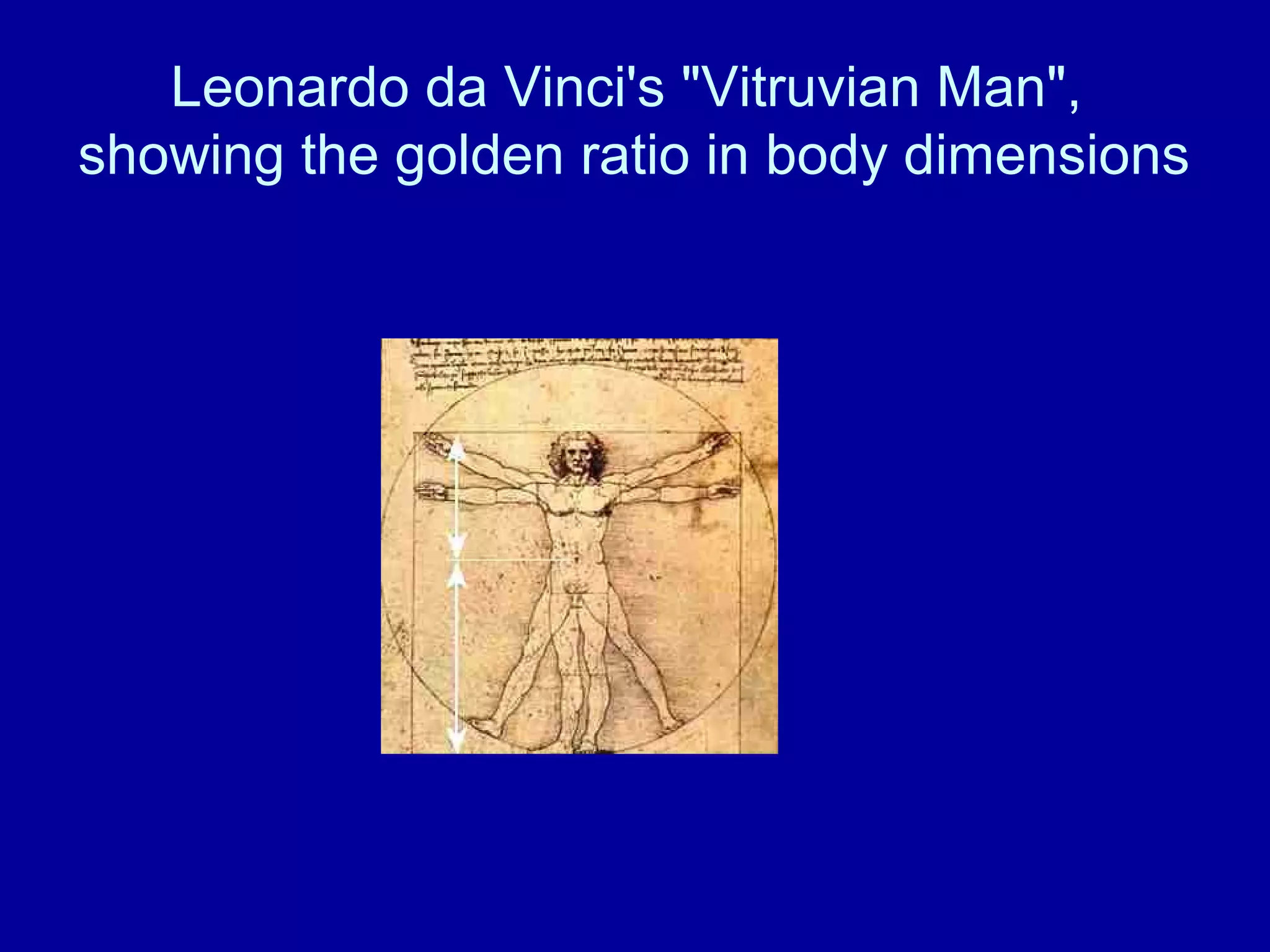 Leonardo da Vinci's "Vitruvian Man", 
showing the golden ratio in body dimensions 
 