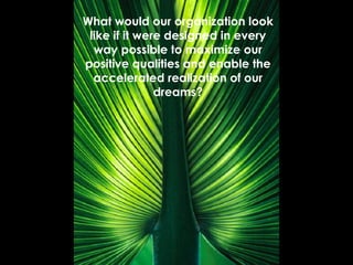 What would our organization look like if it were designed in every way possible to maximize our positive qualities and enable the accelerated realization of our dreams? 