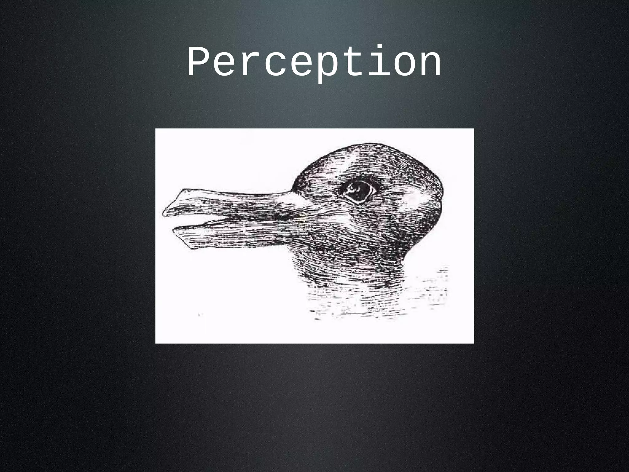 Perception 
 