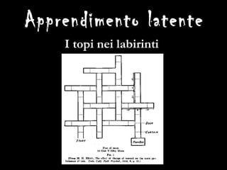 Apprendimento latente I topi nei labirinti 
