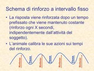 Schema di rinforzo a intervallo fisso
• La risposta viene rinforzata dopo un tempo
prefissato che viene mantenuto costante
(rinforzo ogni X secondi,
indipendentemente dall’attività del
soggetto).
• L’animale calibra le sue azioni sui tempi
del rinforzo.
Rinforzo
Rinforzo
Rinforzo
Rinforzo
Pausa
Pausa
Pausa
 