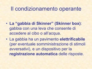 Il condizionamento operante
• La “gabbia di Skinner” (Skinner box):
gabbia con una leva che consente di
accedere al cibo o all’acqua.
• La gabbia ha un pavimento elettrificabile
(per eventuale somministrazione di stimoli
avversativi), e un dispositivo per la
registrazione automatica delle risposte.
 