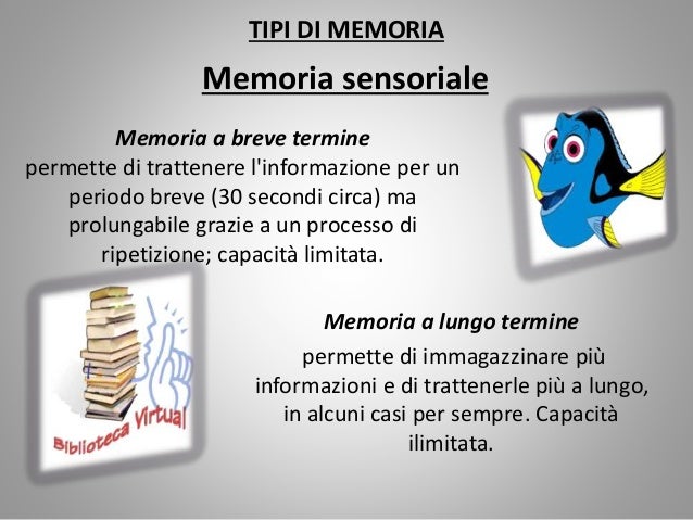 Memoria A Breve Termine Test Per Bambini Apprendimento e memoria