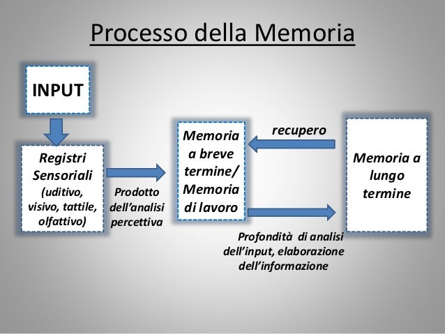 Memoria A Breve Termine Test Per Bambini Apprendimento e memoria