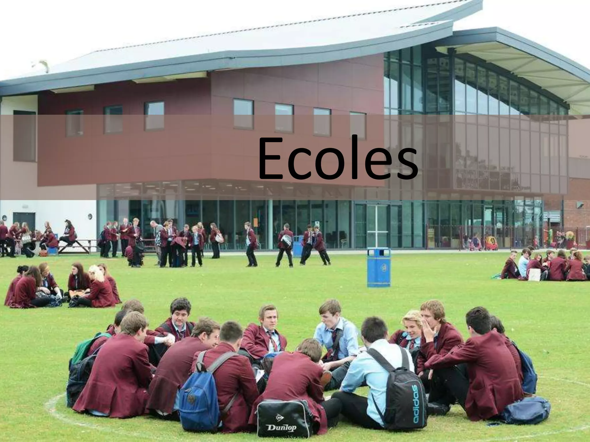 Ecoles
 