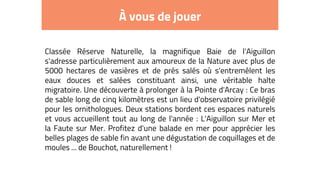 À vous de jouer
Classée Réserve Naturelle, la magnifique Baie de l'Aiguillon
s'adresse particulièrement aux amoureux de la Nature avec plus de
5000 hectares de vasières et de prés salés où s'entremêlent les
eaux douces et salées constituant ainsi, une véritable halte
migratoire. Une découverte à prolonger à la Pointe d'Arcay : Ce bras
de sable long de cinq kilomètres est un lieu d'observatoire privilégié
pour les ornithologues. Deux stations bordent ces espaces naturels
et vous accueillent tout au long de l'année : L'Aiguillon sur Mer et
la Faute sur Mer. Profitez d'une balade en mer pour apprécier les
belles plages de sable fin avant une dégustation de coquillages et de
moules ... de Bouchot, naturellement !
 