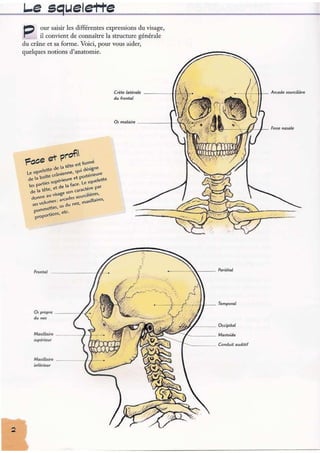Apprendre à dessiner les expressions du visage | PDF