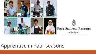 Apprentice in Four seasons
 