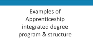 Apprenticeship embedded degree program.pdf