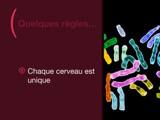 (   Quelques règles…
                           )
    ⊛ Chaque cerveau est
      unique
 