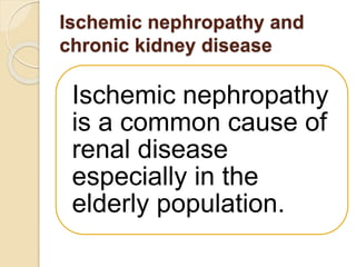Ischemic nephropathy and
chronic kidney disease
Ischemic nephropathy
is a common cause of
renal disease
especially in the
elderly population.
 
