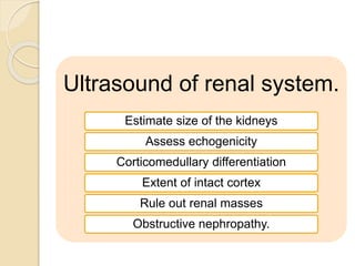 Ultrasound of renal system.
Estimate size of the kidneys
Assess echogenicity
Corticomedullary differentiation
Extent of intact cortex
Rule out renal masses
Obstructive nephropathy.
 